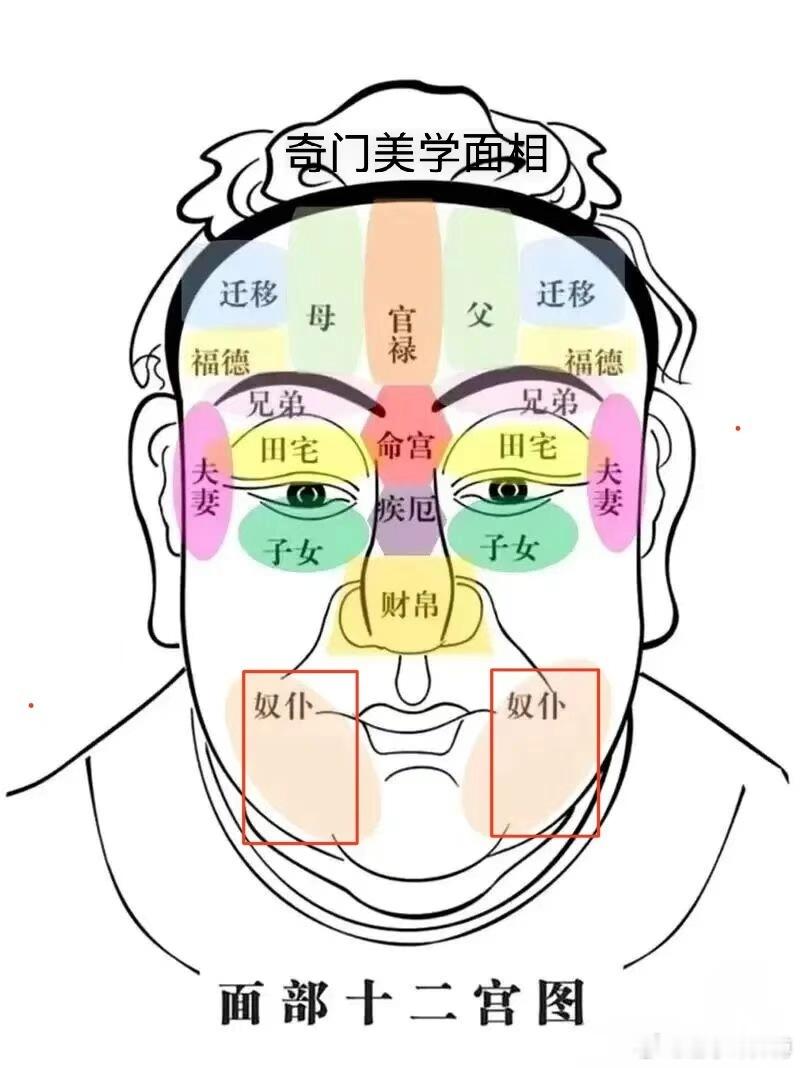 面相分享十二宫～【奴仆宫】这个部位看与合伙人、下属的缘分，也看居住环境好坏。下巴
