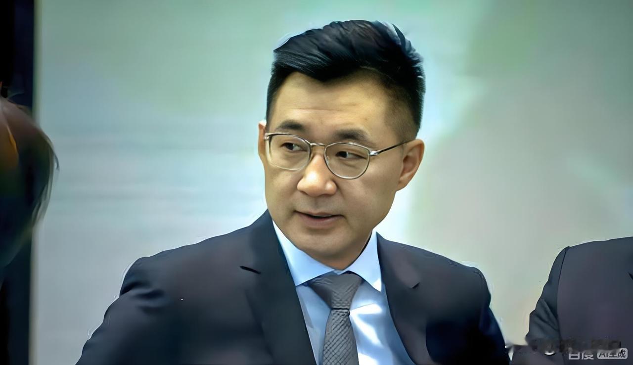 明人明说：江启臣带职参选台中市长利弊一目了然明人明说，江启臣以立法院副院