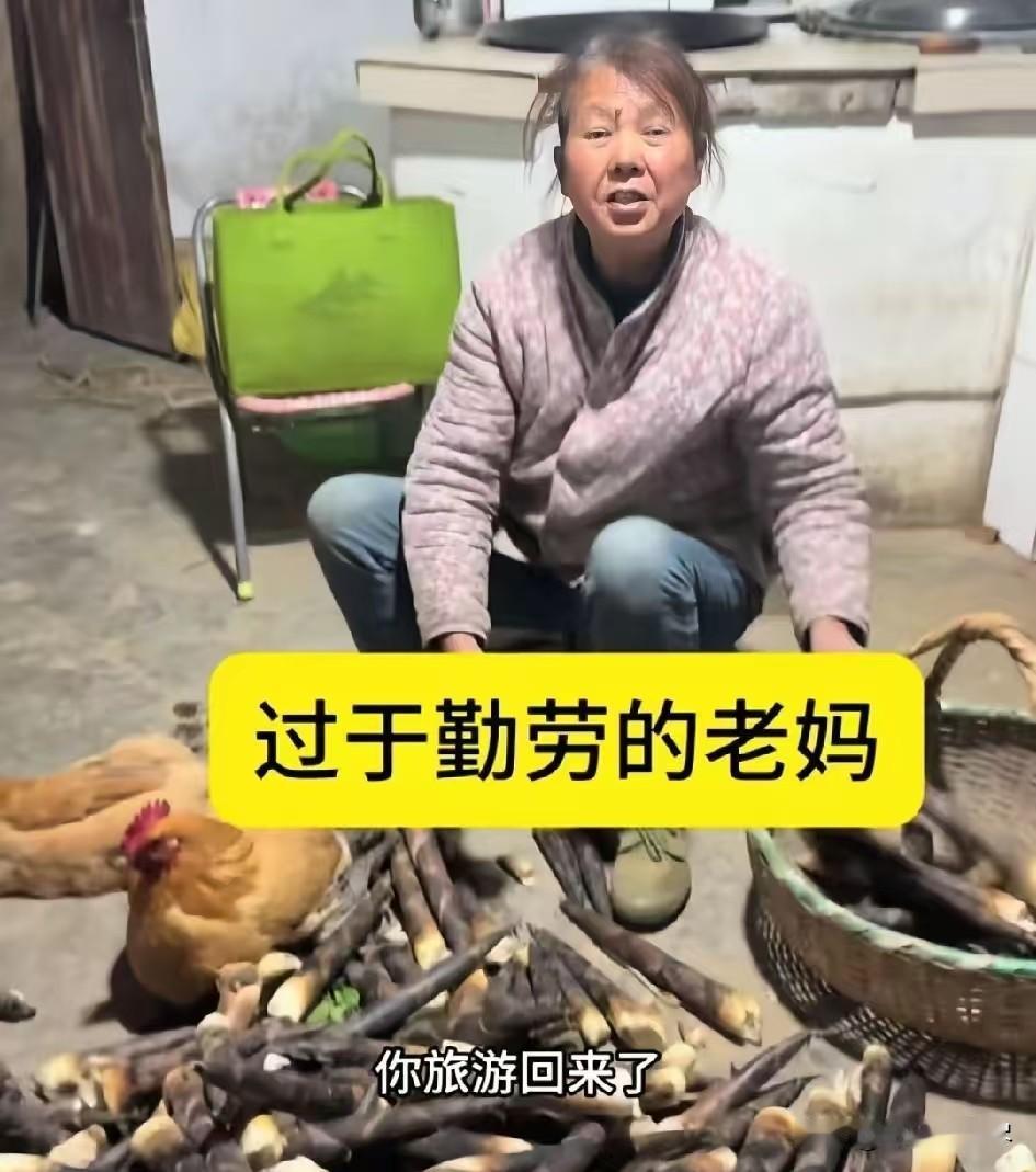 演员徐海为去海南旅游了一趟，一回家母亲就黑着脸质问他：“你去海南花了多少钱？”徐