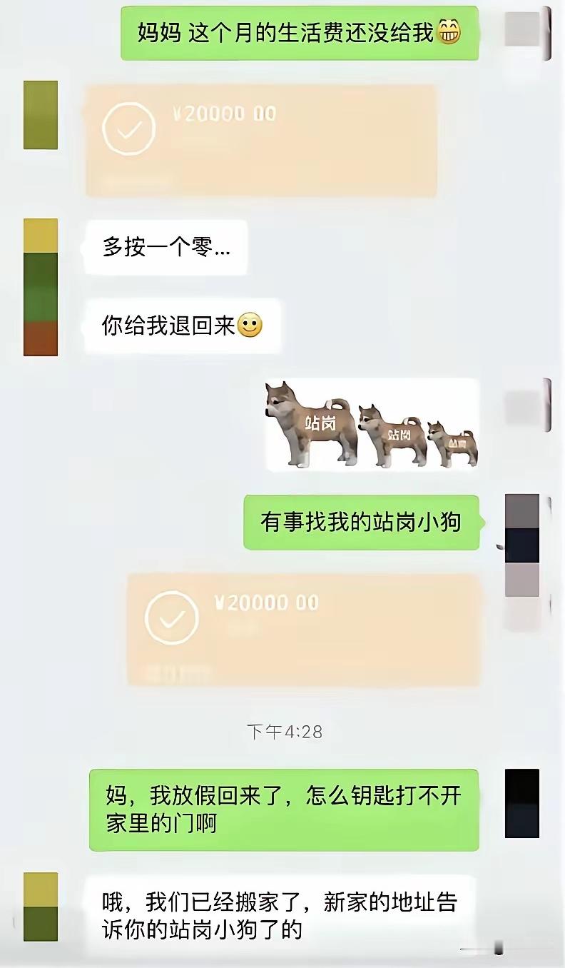 站岗小狗工作了