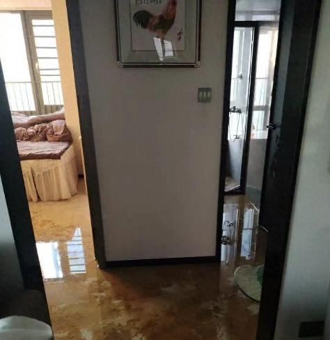 深圳龙华，一女子刚装修好的新房，突然被粪水倒灌全屋，物业一句话让她傻眼！田女