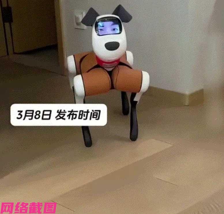 有女子在家看剧太过专注，连男朋友来电话也没有听到，没有想到男朋友还登录到家里的机