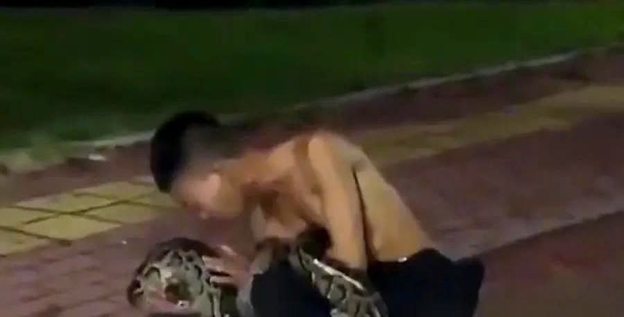 广东一男子喝醉酒躺在草地上呼呼大睡，手机也扔到一旁，没想到该男子被一条蟒蛇盯上了