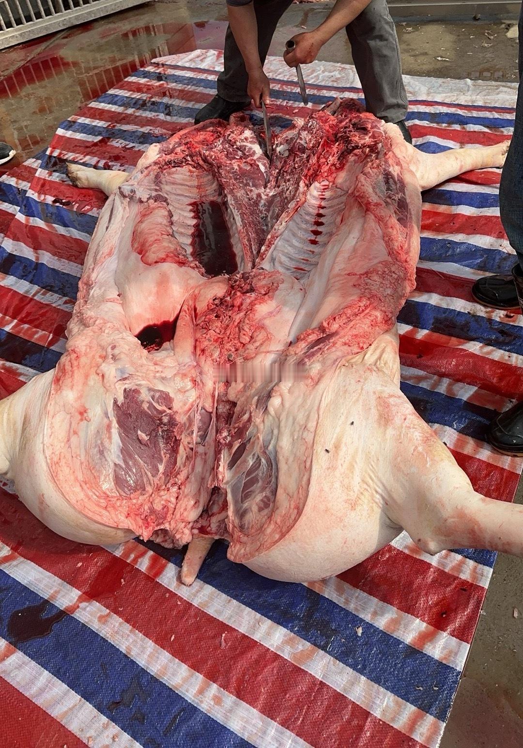 近期热门板块龙头(吃肉版)1.通信（CPO/光模块）：人气标的：天孚通信（