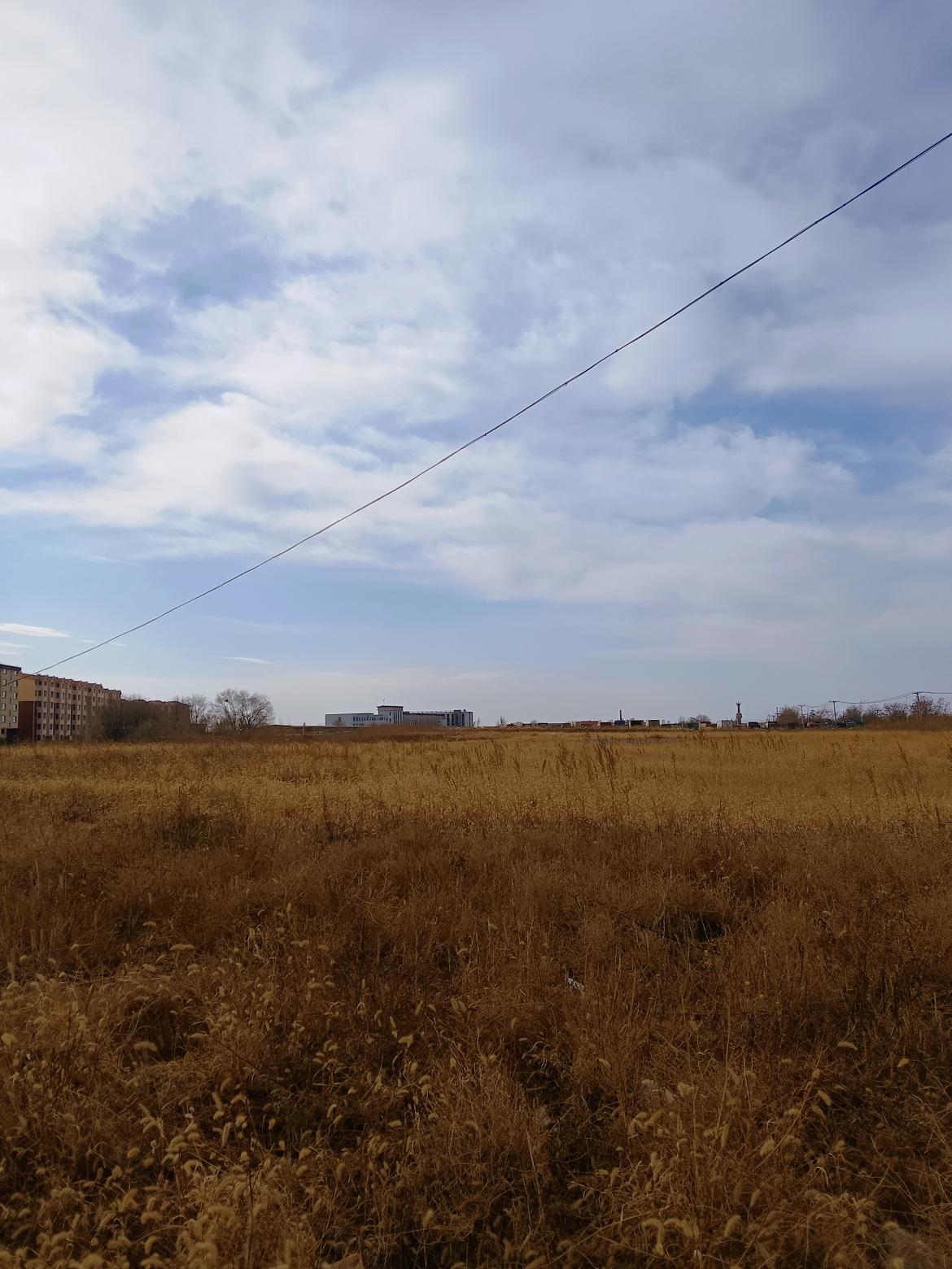 秋日田野，金黄色的草海，远处是城市的轮廓，天空中飘着几朵白云。