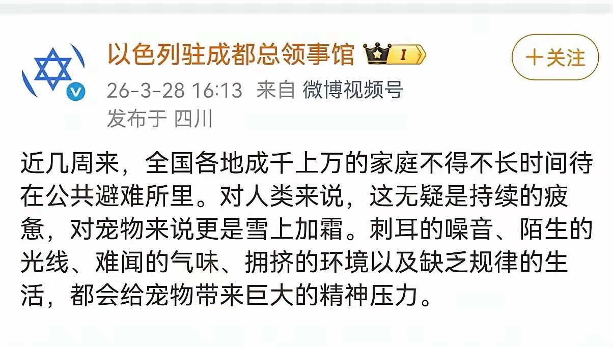 犹太人的逻辑就是：我们只是炸了你们一些人，你们却给我们的宠物带来了巨大的精神压力