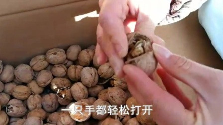 怎样剥核桃皮最快 5786047682919296978.jpg?id=0