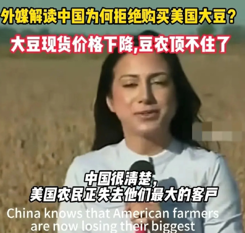 中国如今不买美国大豆，压根不是意气用事，全是美国多年作妖埋下的祸根。早在上世