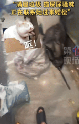 离了大谱！”云南昆明，两女租客突然退房，并告诉房东不用退押金了，房东觉得事有蹊跷