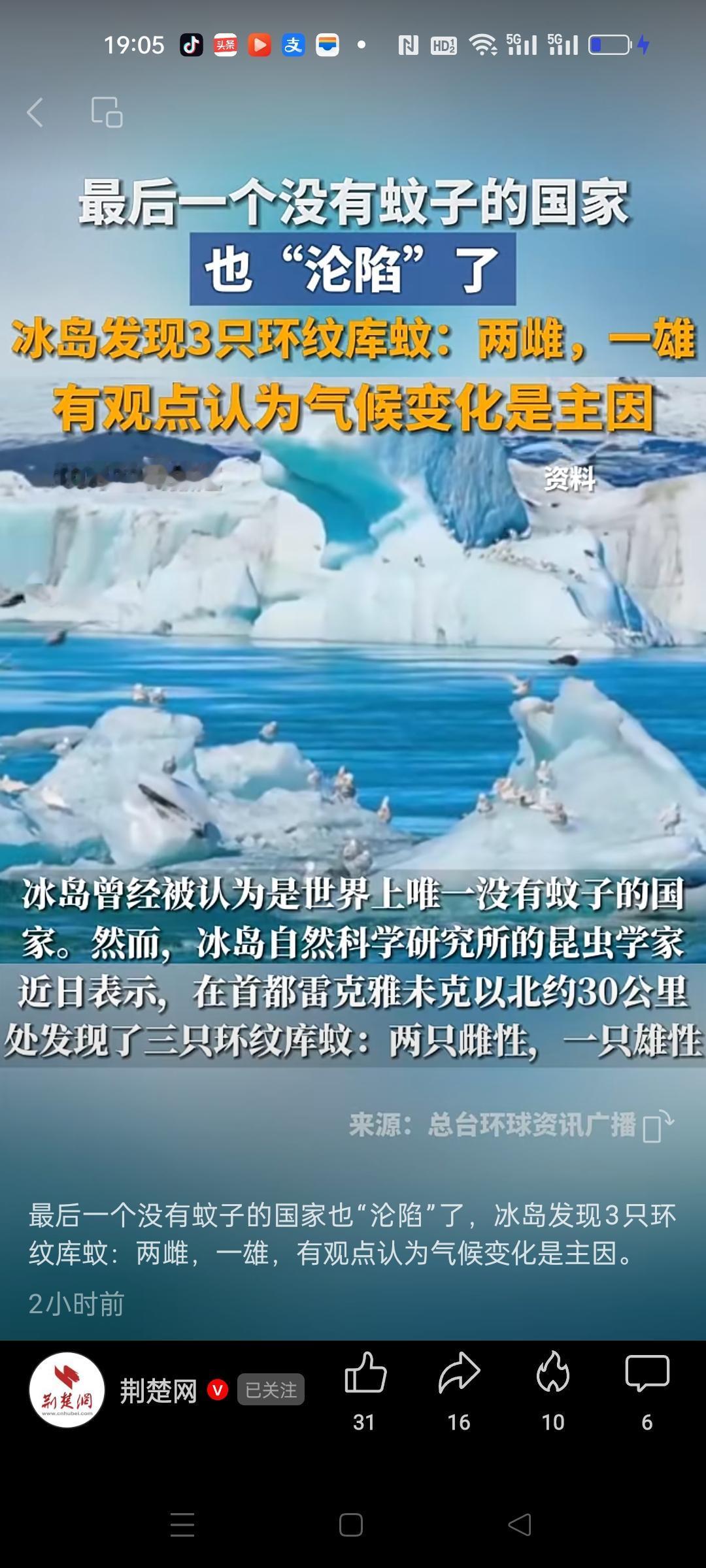 世界上最后一个没有蚊子的国家也沦陷了，冰岛发现蚊子。这肯定是气候变暖造成的，以