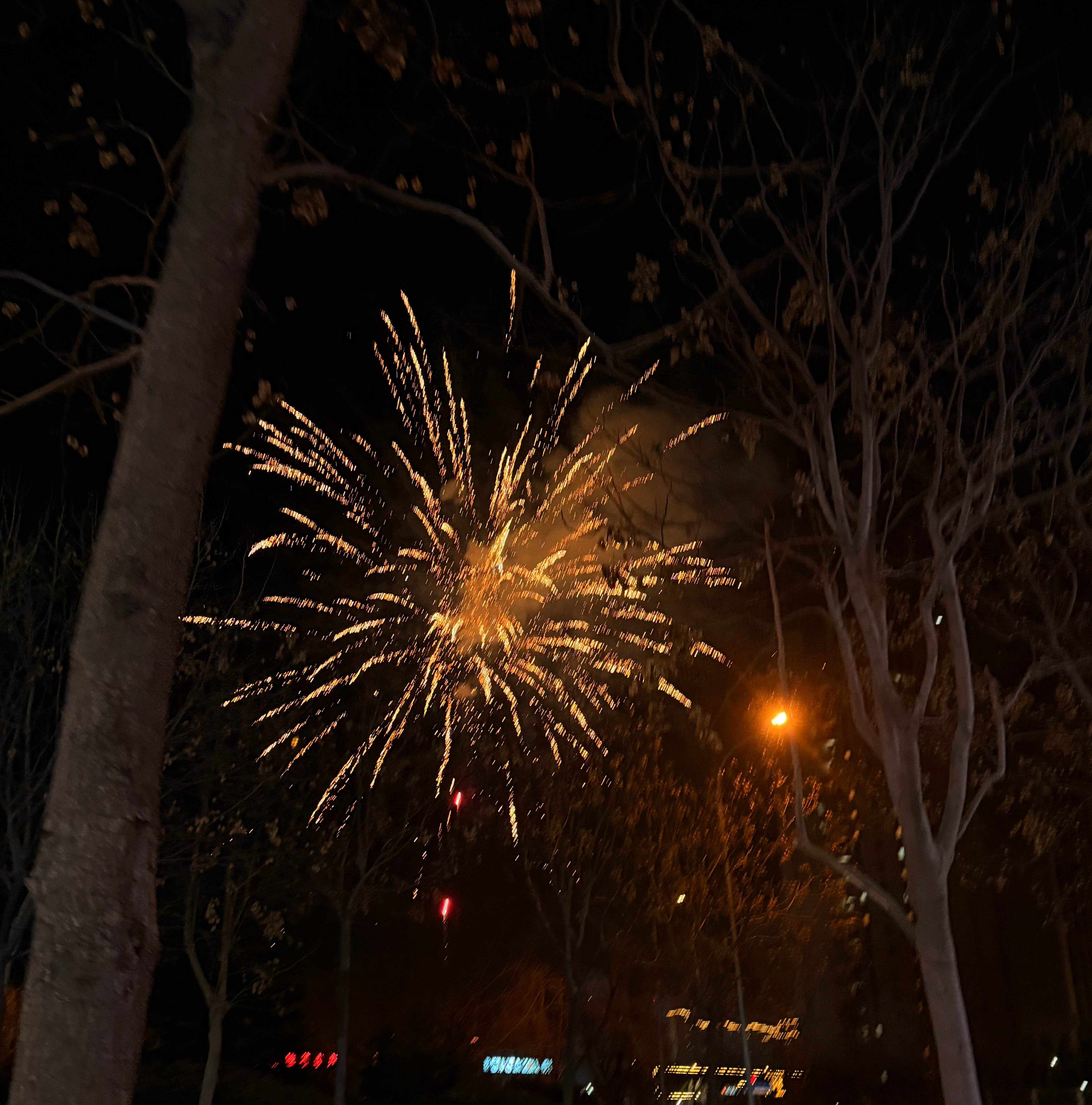 终于get到了拍照按键，拍烟花也太方便了，这要等我解锁手机再找相机，烟花就只剩烟