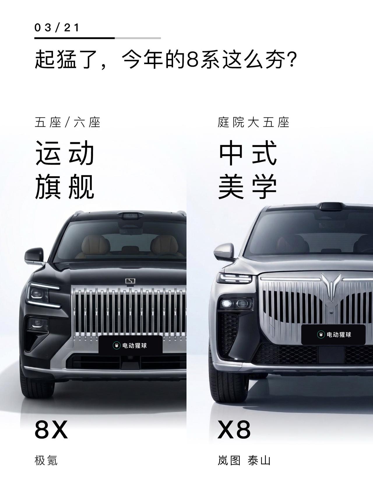 起猛了，今年的8系这么夯？岚图泰山X8极氪8X