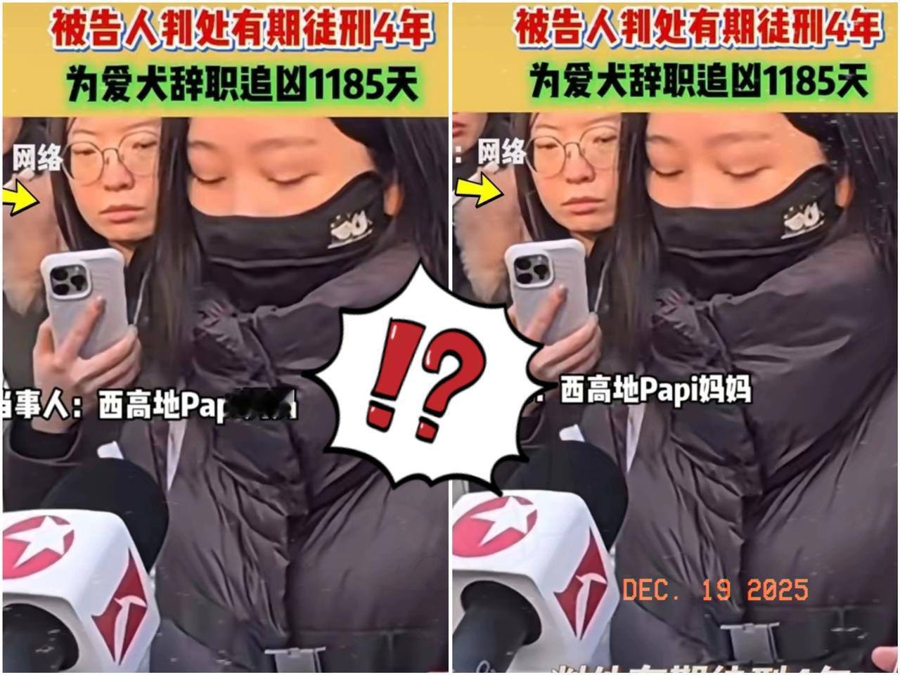 刚赢了官司，转头又定了新狗。看李女士这架势，历史不仅会重演，恐怕还得加倍。