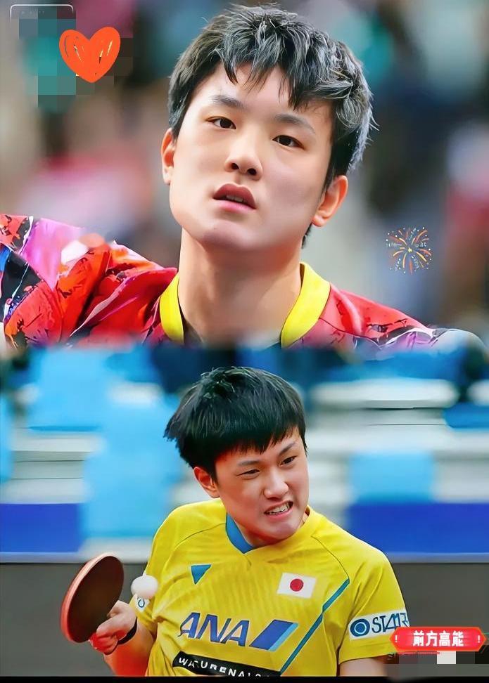 这一招太狠了，直接把遮羞布给扯下来踩在脚底。日本乒协停掉张本智和全家的补贴，