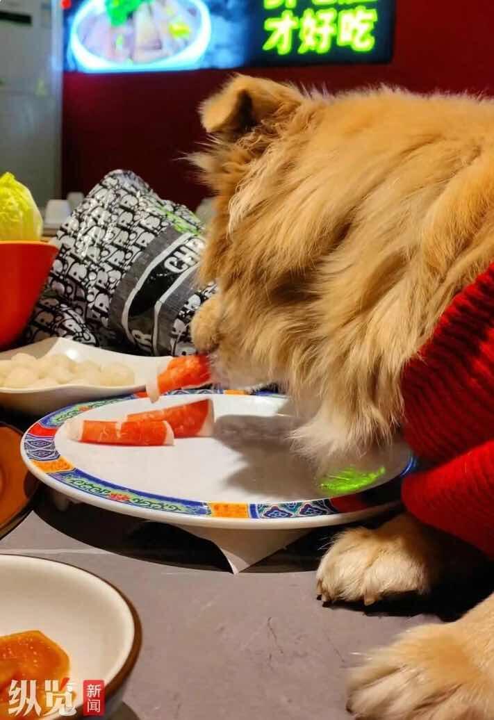 这事儿真是让人看了一肚子火。就前两天，12月16号晚上，在北京一家涮肉店里，