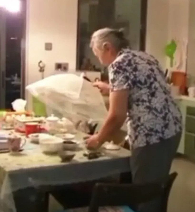 95岁高龄的指挥家郑小瑛几乎每天吃剩菜剩饭！老人家说，她几乎每天吃剩菜剩饭，而