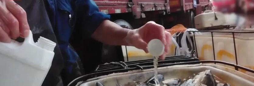 一瓶盖下去，活蹦乱跳的鱼瞬间瘫软！ 2024年3月22日晚，央视暗访播出，一