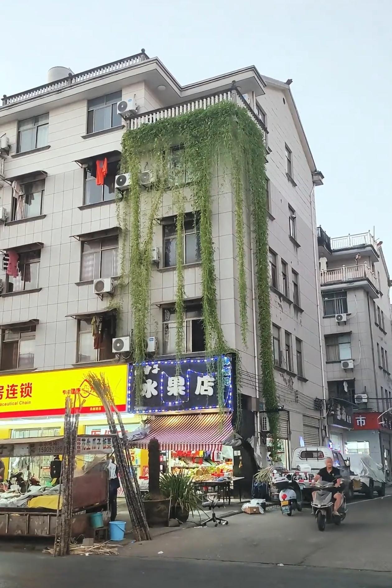 这下好了，不仅邻居知道了，全国人民都知道了！浙江金华某小区里，住在五楼的大爷在阳