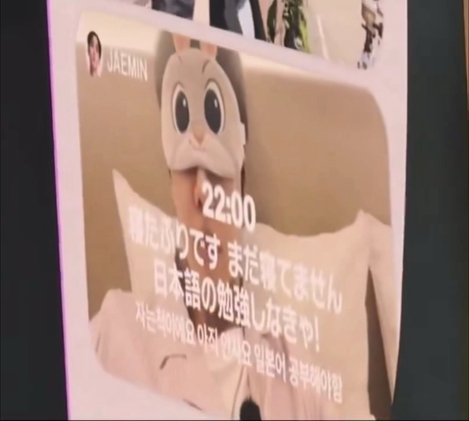 罗渽民朱迪～
