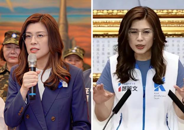 谁能想到，郑丽文这么有钱啊！日本熊本地震，她个人掏了100万新台币，西藏灾情
