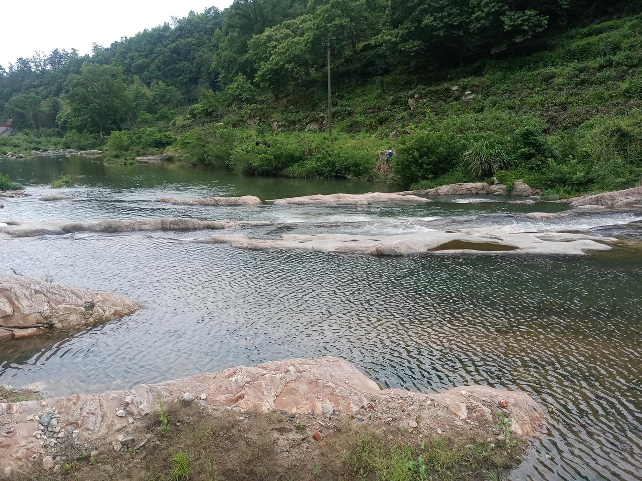 《再赴唐湾，邂逅山水之灵》枫林红叶又到唐湾林里游，溪声浩浩意难休。