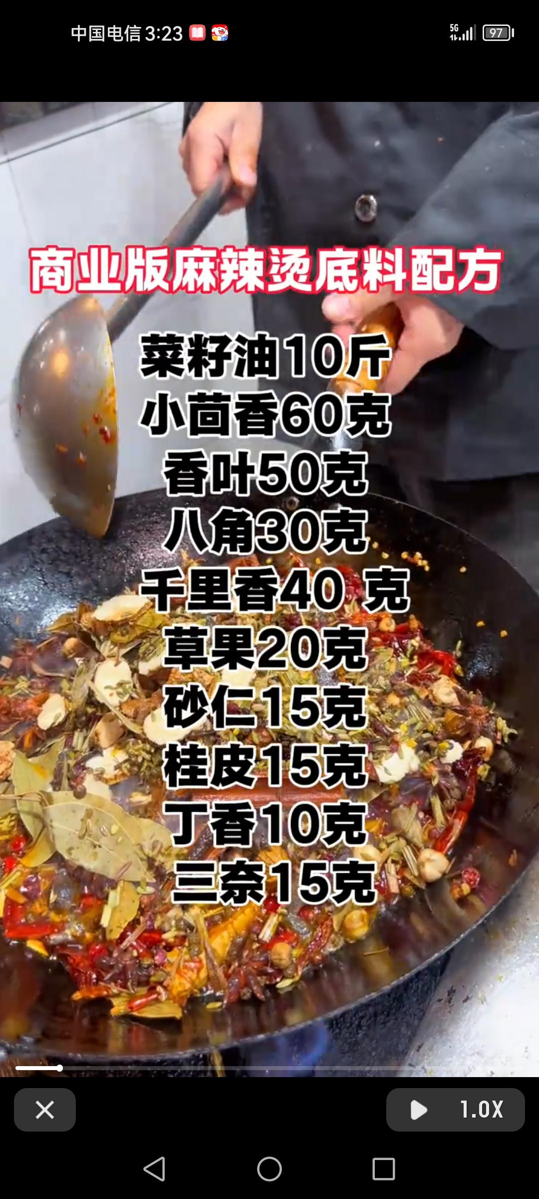 商业版麻辣烫底料配方，麻辣水煮鱼配方，臊子面配方，四川泡菜配方，