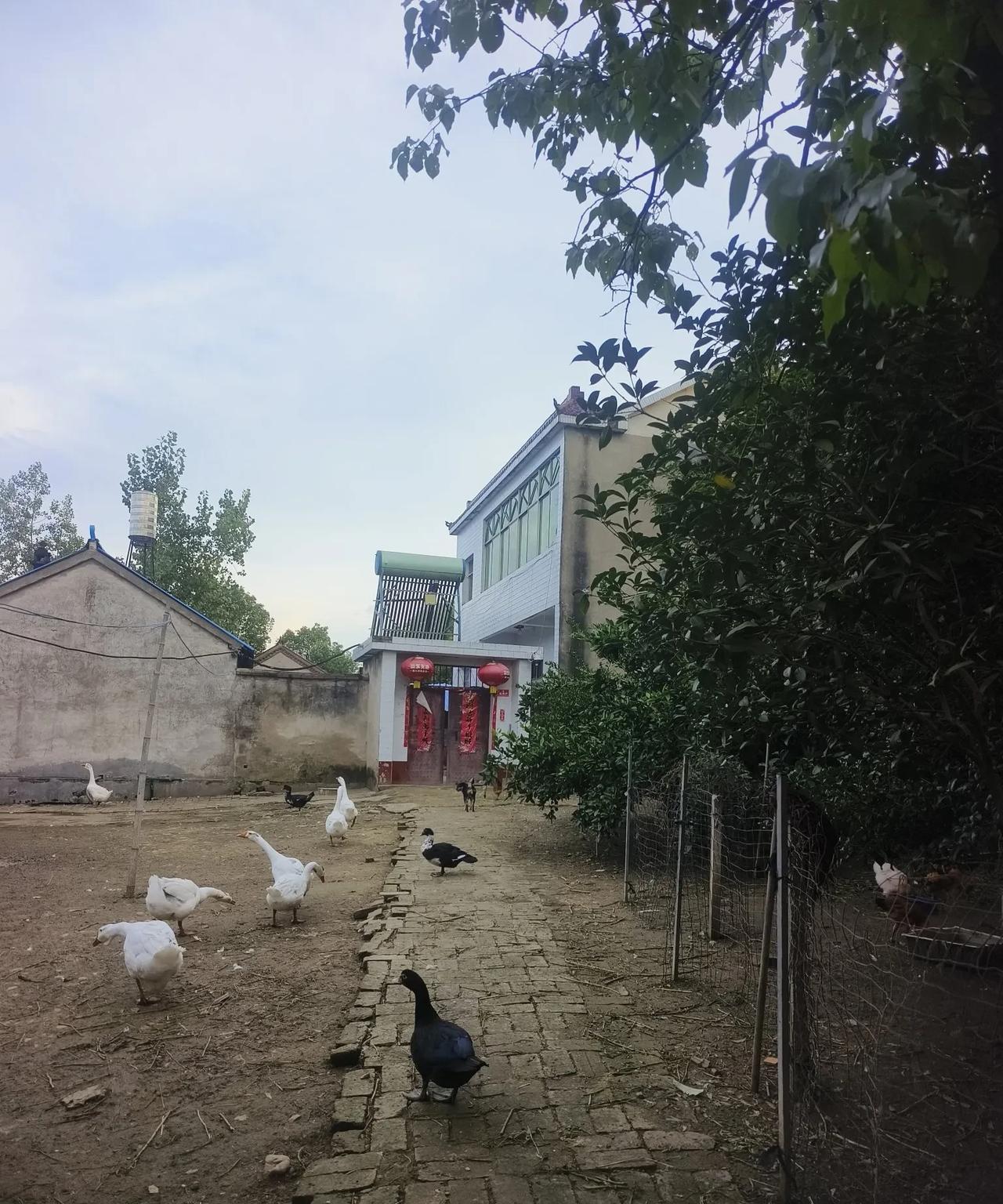 娘家侄子上学期上高中，他不想住校，我哥就让侄子住我家，我们家离学校近，我也爽快的