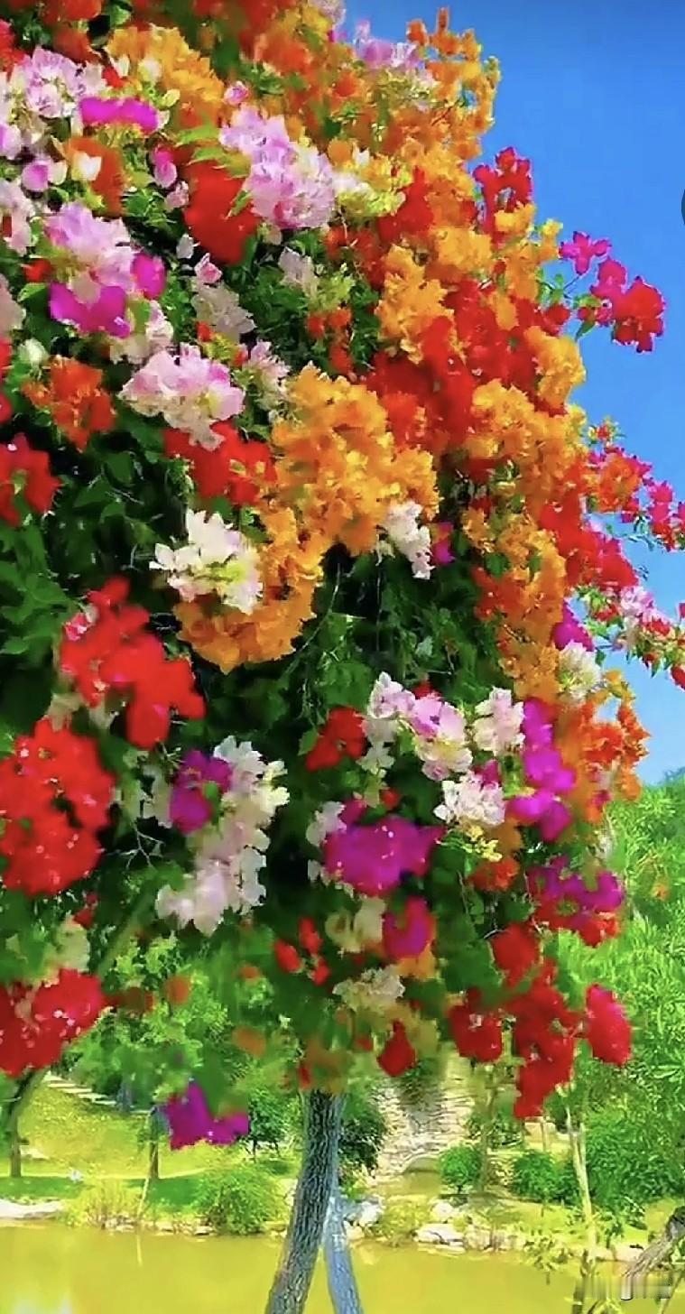 一女的离婚十年，一直也没找。46岁的她听说闺蜜在相亲网站找的老公还挺靠谱，她也心