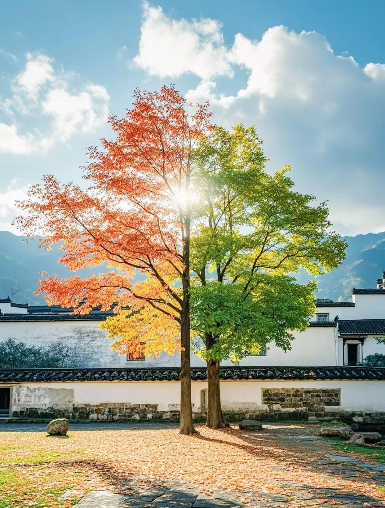 被社会淘汰的16个表现，看看你中了几条？1.靠老经验混日子，别人都在进步自己