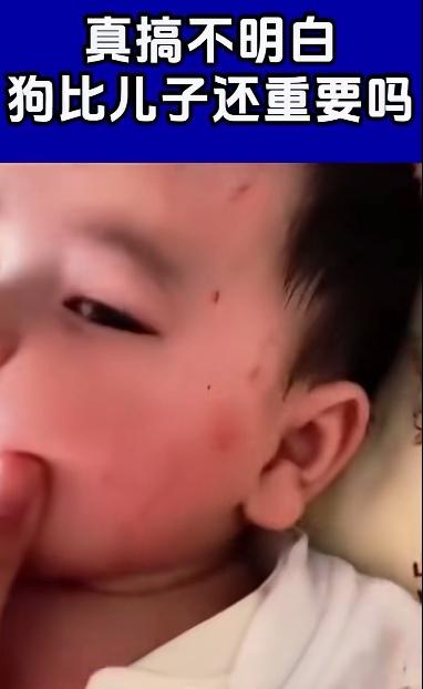 越看越生气，有些养狗的人真的不配为人父母，这孩子生在这个爱狗人士的家庭，成为他们