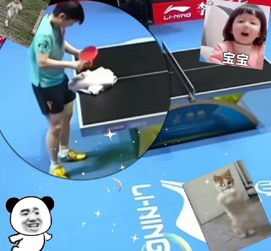 莎莎新技能叠毛巾，是用球拍一下一下拍下来的。拍的差不多了，就在球桌上叠叠毛巾，