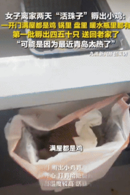 “意外的惊喜！”7月7日，山东青岛，一女子因天气炎热离家2天，回家打开门后，全家