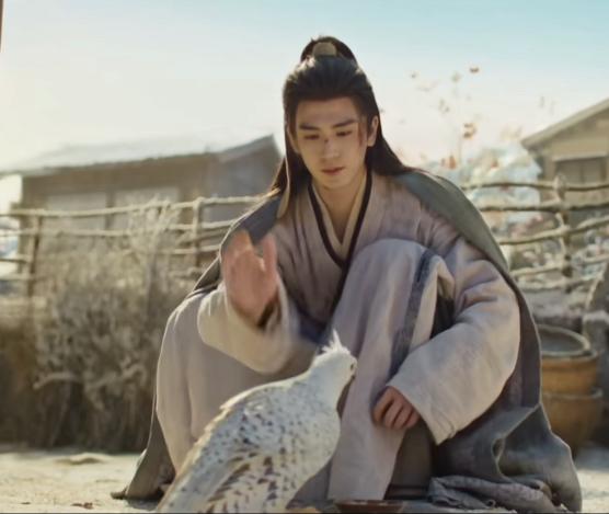 谁为隼隼发声啊，本来脑子就不太聪明，樊长玉拍完，谢征拍……这两口子就不怕手劲