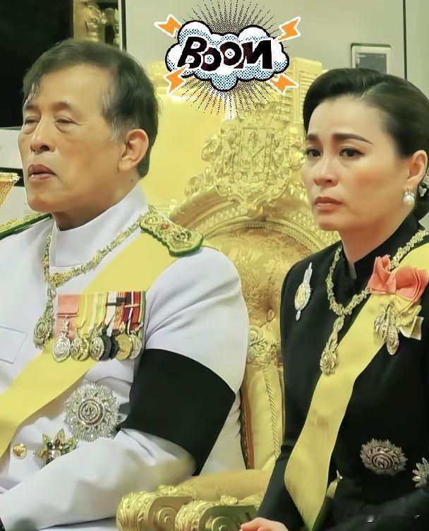 看了苏提达和泰王送别帕公主的仪式终于搞明白，为什么苏提达他们一直用仪器吊着帕公