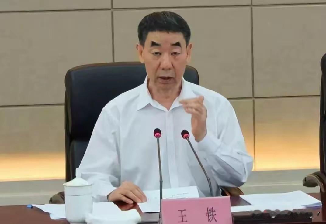 相由心生！长脸，三角眉，蒜头鼻子迷乎眼。他叫王铁，河南泌阳人。他从副