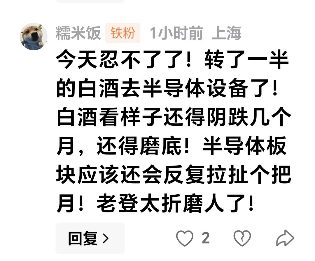 基金：今天忍不了了，转了一半的白酒去半导体设备，白酒看样子还得阴跌几个月，还得磨