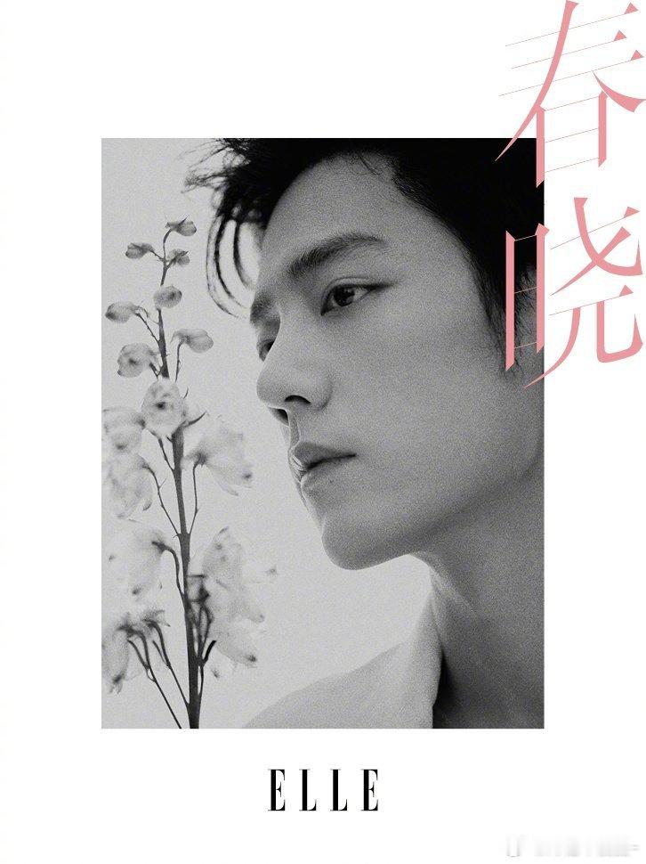 卧槽这张肖战女王大人啊啊啊啊太权威了