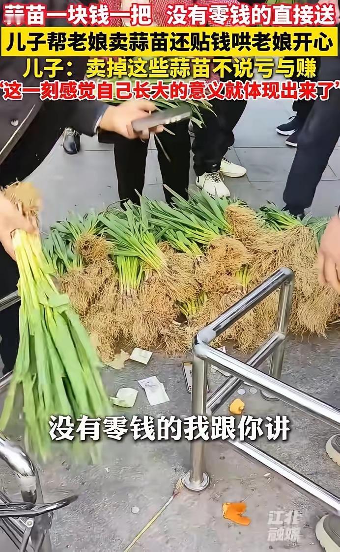 近日，安徽蚌埠，一老人自己种的蒜苗卖不出去，让儿子处理掉，儿子把蒜苗拉到街上来卖
