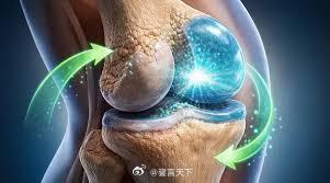 斯坦福科学家发现一种方法让软骨再生并阻止关节炎研究团队发现了一种新的治疗方法，