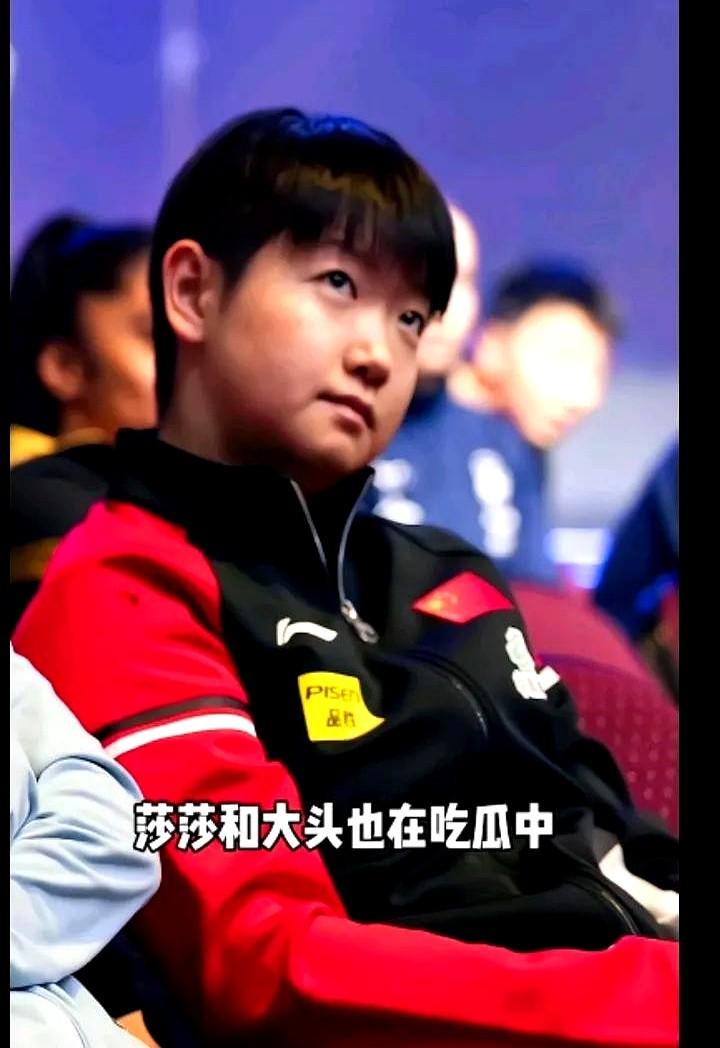 莎莎：小石头你可长点心吧！小心佳佳和头头一会儿收拾你！头头：石头弟弟，收拾你