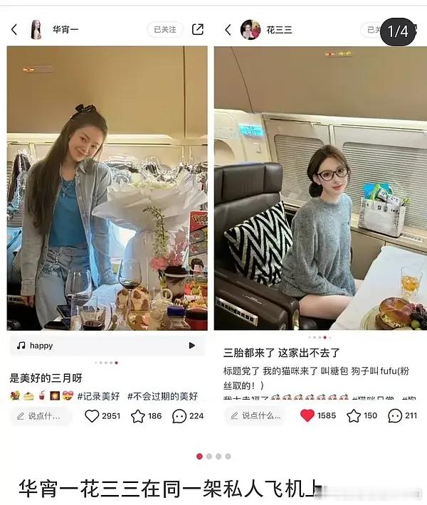 她是怎么做到和三和平共处，坐同一架飞机的有钱的没几个不养三四五六的，但最起码遮一