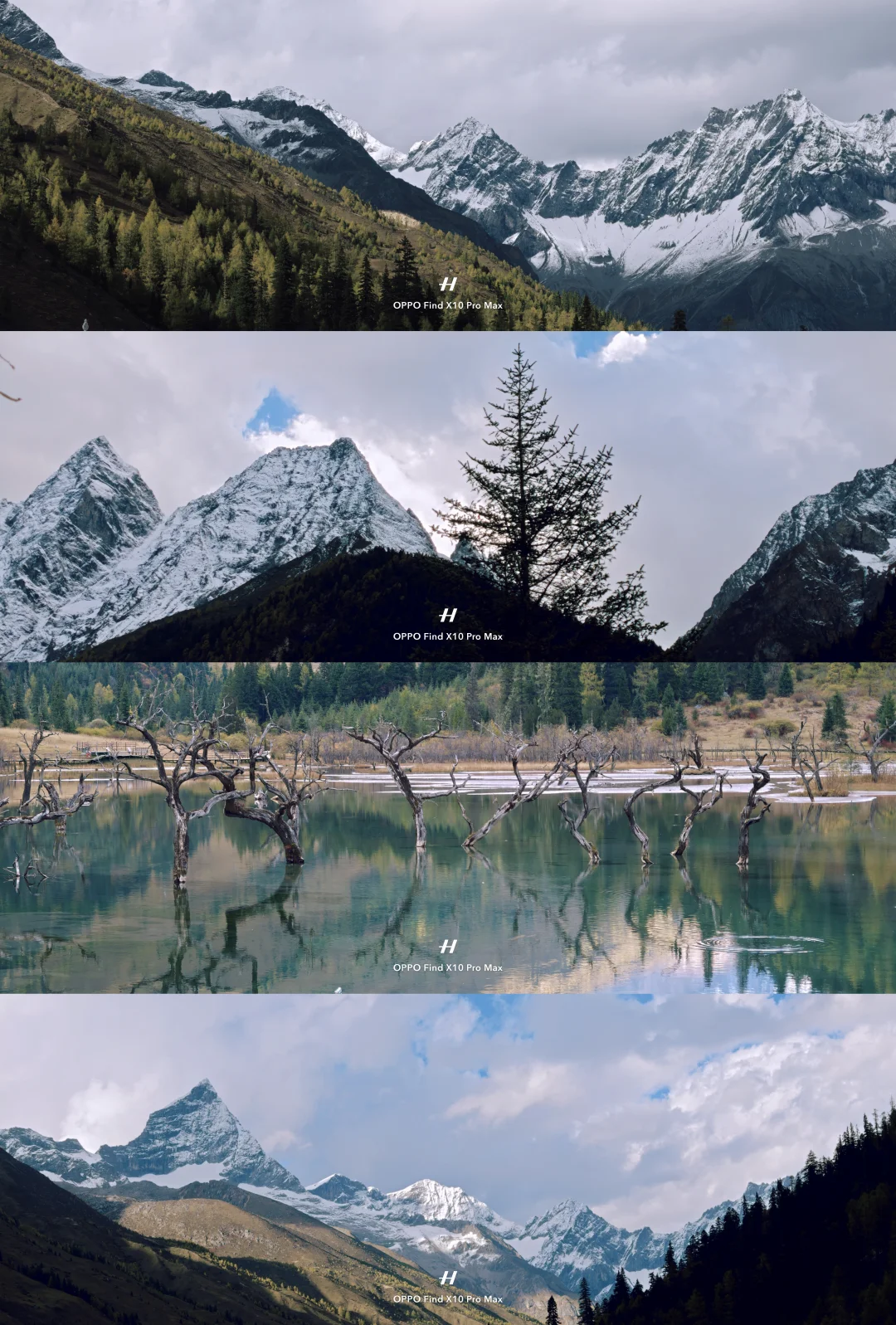 四姑娘山双桥沟🏔️把雪山湖泊装进镜头里