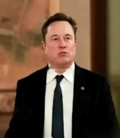 终于搞明白了，为什么一堆人咬定马斯克不是地球人。不是因为他长得怪，而是他干的事，