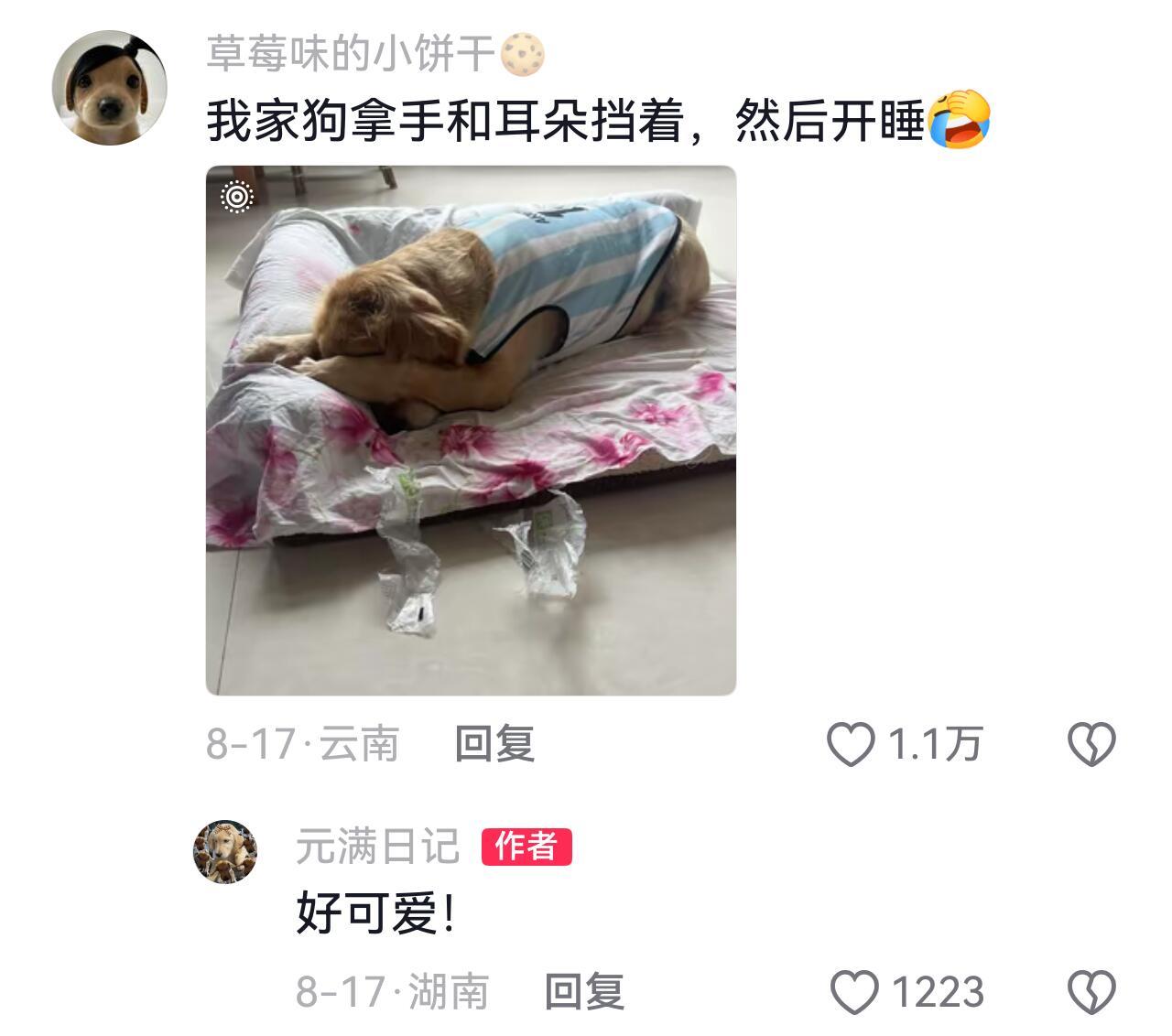 还以为它们只是单纯喜欢压着眼睛呢​​​