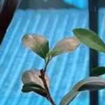 正能量正能量生活不能等待别人来安排，要自己去争取和奋斗，而不论其结果是喜是悲，