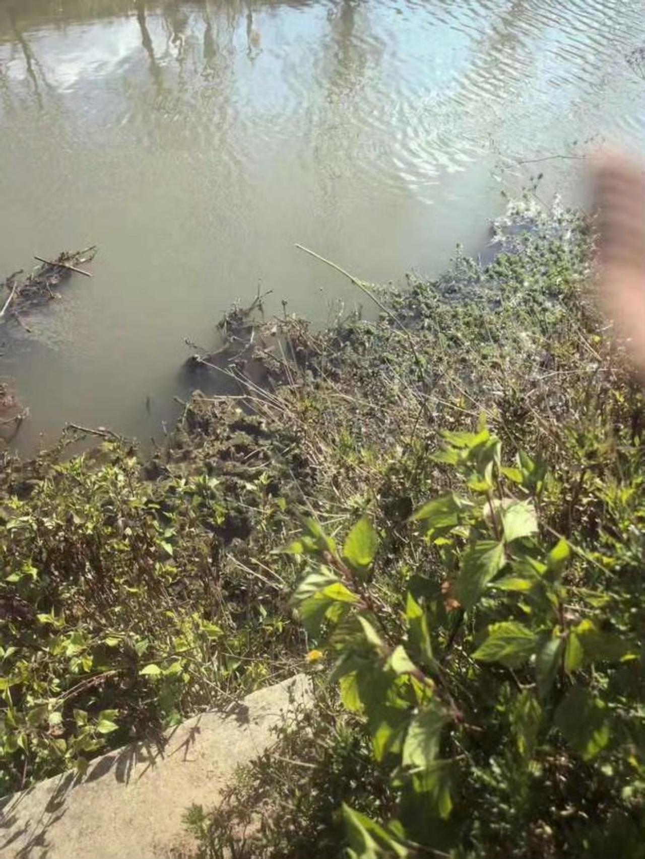 在云南腾冲的一个小村庄里，最近发生了一起让人痛心疾首的案件，一位61岁的老妇杨立