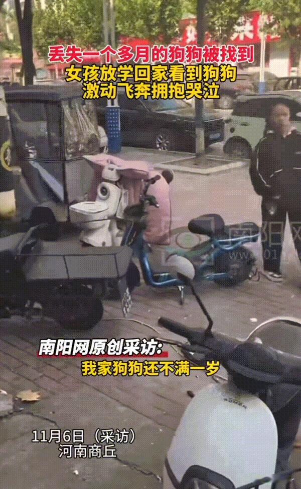 万物皆有灵性！河南，都是一个多月的狗狗突然被找到，小主人放学回家后看到狗狗，激动