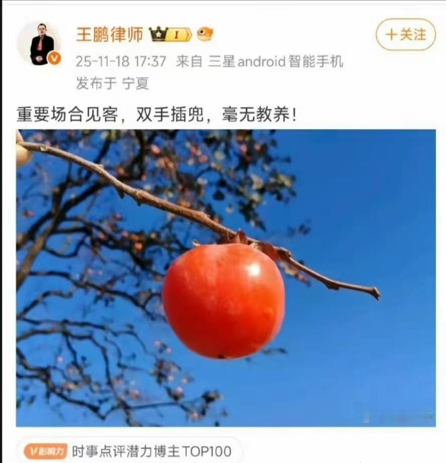 这位律师说，中国外交官双手插兜，毫无教养。看来，他很喜欢跪着呀。跪习惯了的人