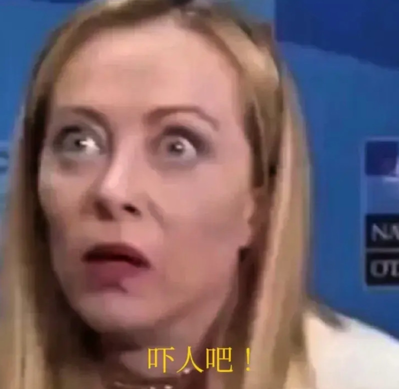 有人说梅洛尼漂亮，可在我看来，她那双所谓的“死鱼眼”就透着股子不善。就拿她向马