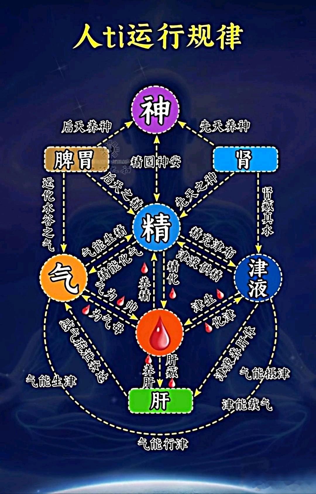 中医临床的“宝藏方”和“全能方”——温胆汤,藏着5个秘密中医在千百年临床实践中,